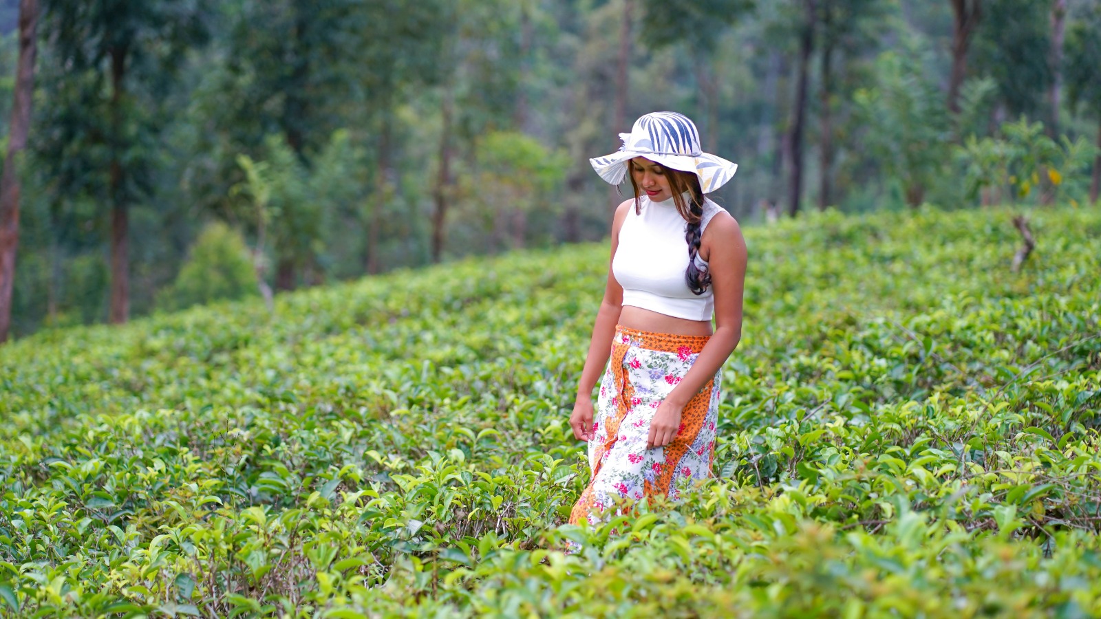 Nuwara Eliya