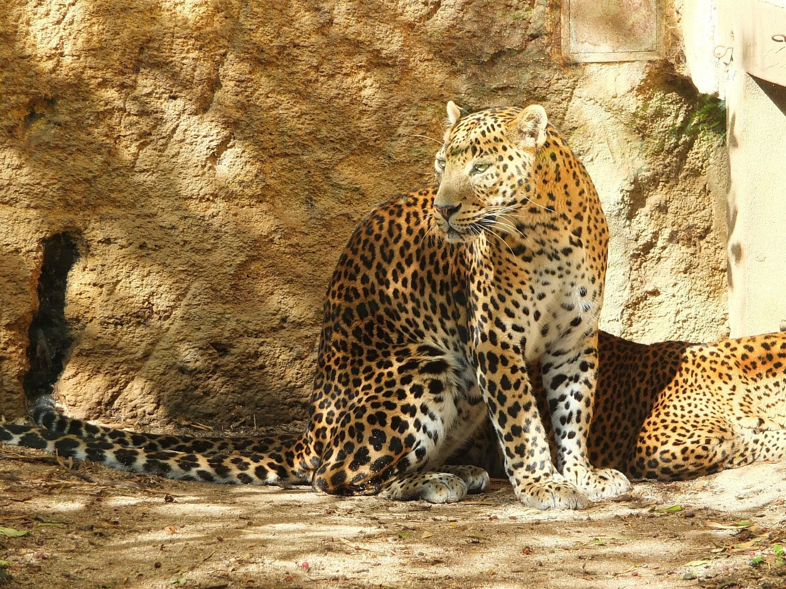 Yala National Park
