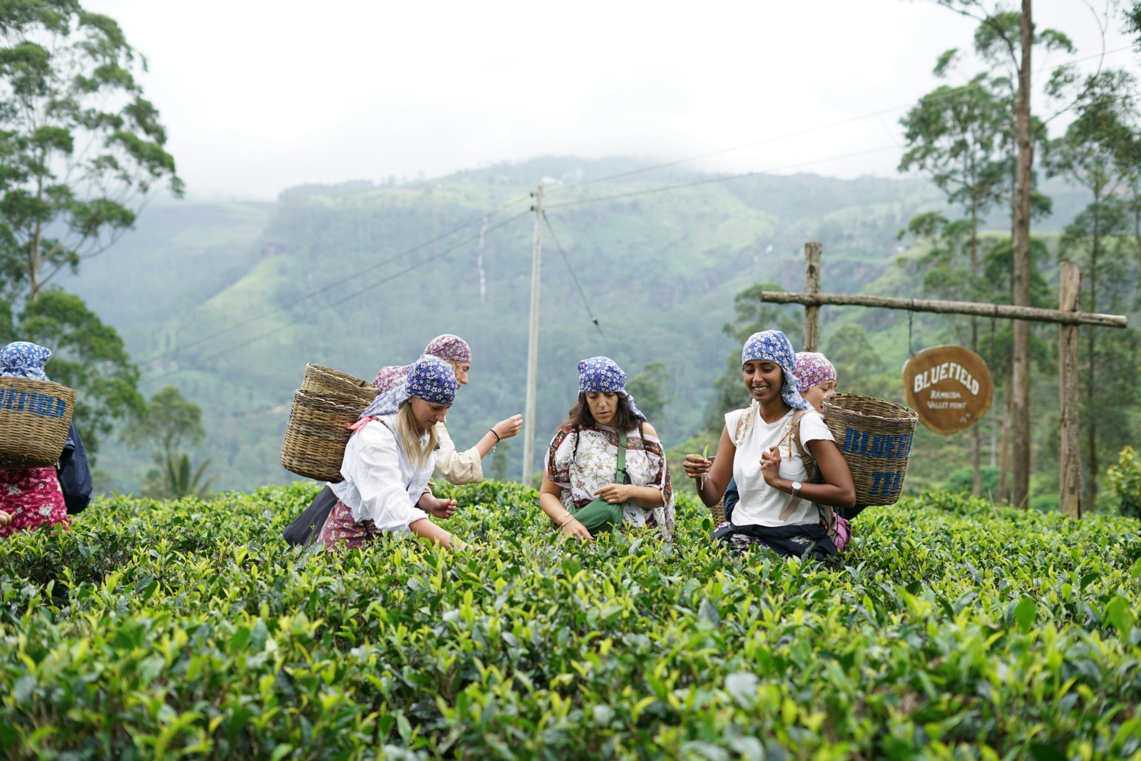 Nuwara Eliya
